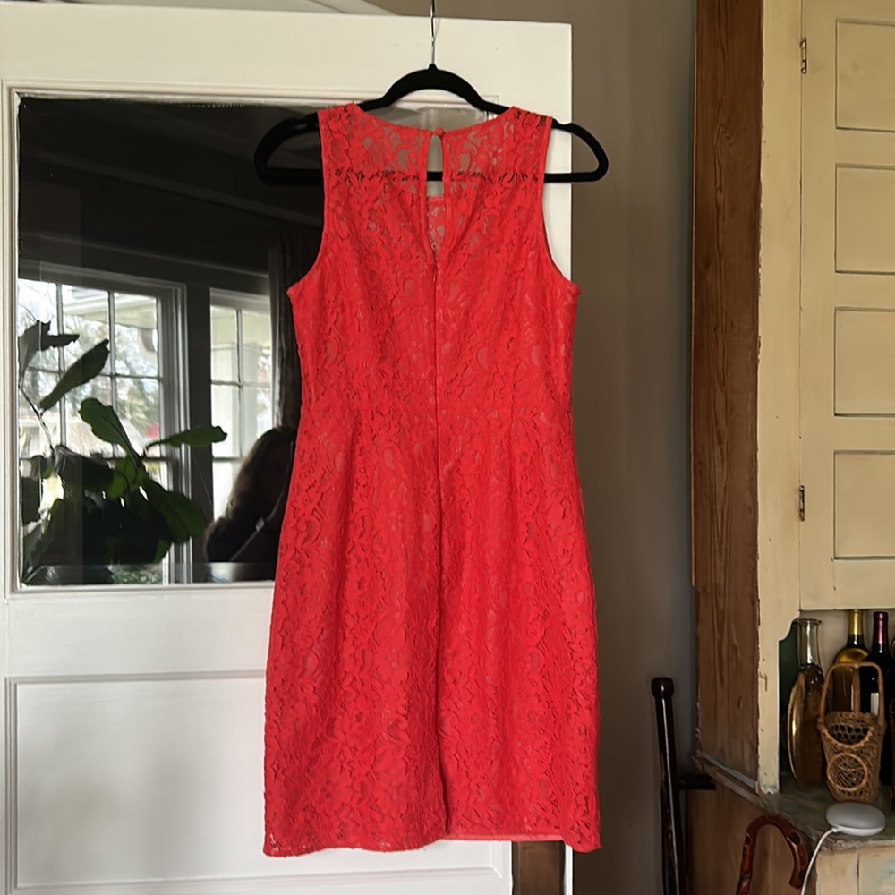 Lacey fitted dress - Picture 2 of 3